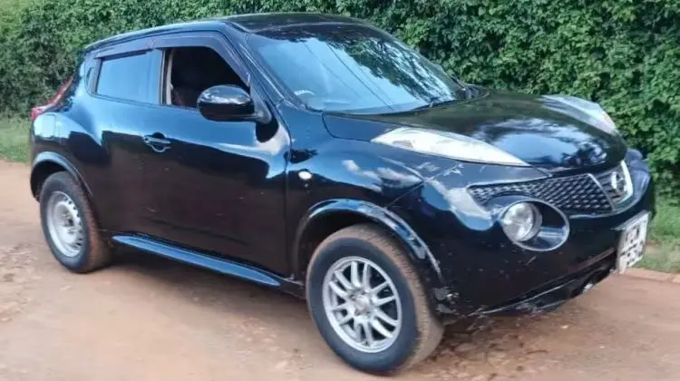 2012 Nissan Juke