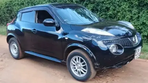 2012 Nissan Juke