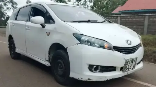 2010 Toyota Wish
